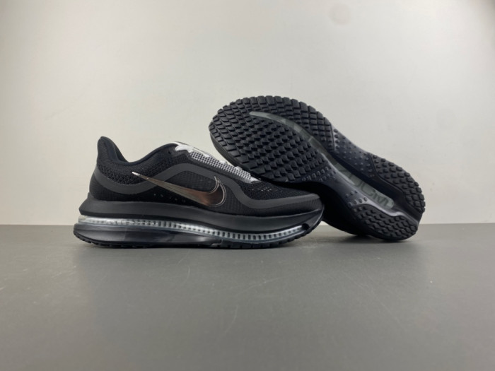 Nike Pegasus Premium SP 