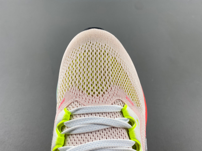 Wmns NIKE Air Zoom Pegasus 41