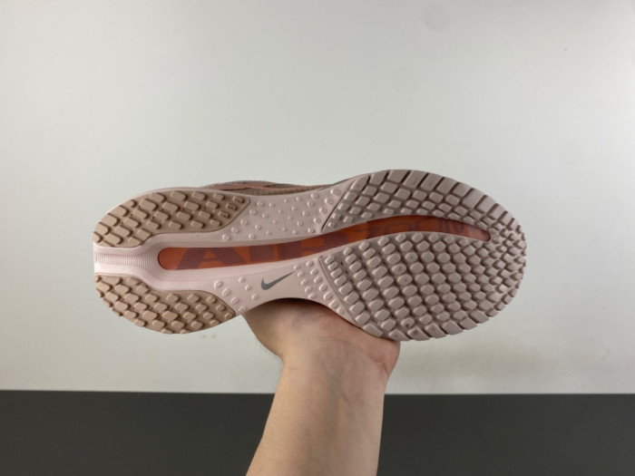 Wmns Nike Air Zoom Pegasus Premium 