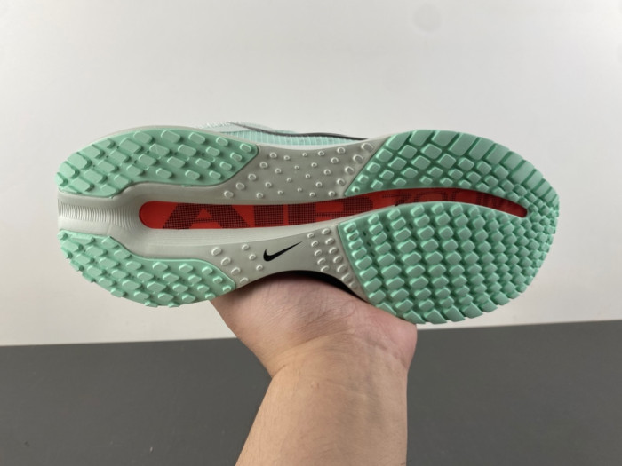 Nike Pegasus Premium 