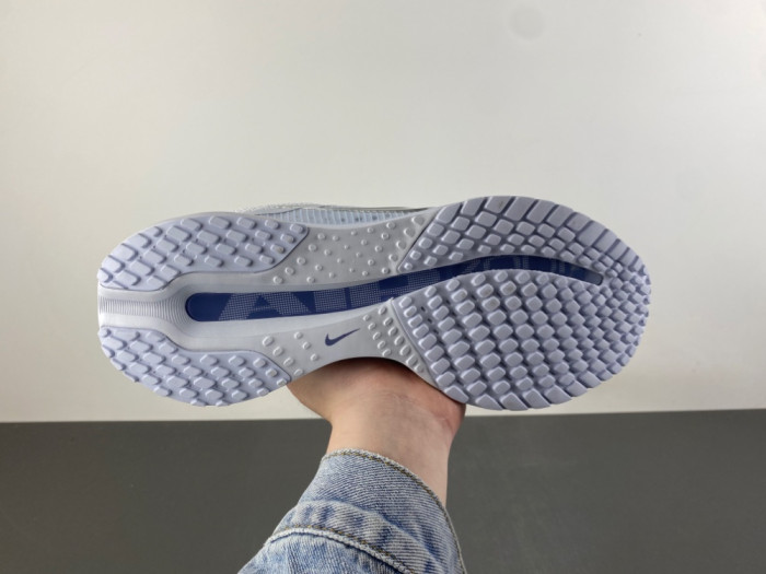 Nike Wmns Pegasus Premium 