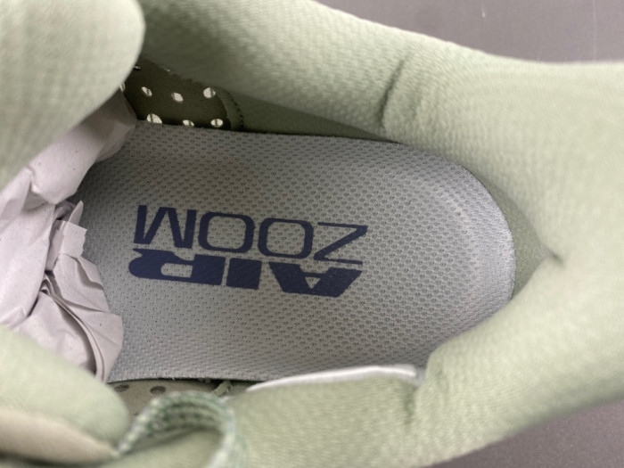 Nike Pegasus Premium 