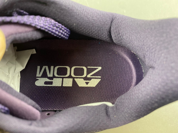 Nike Pegasus Premium SE 