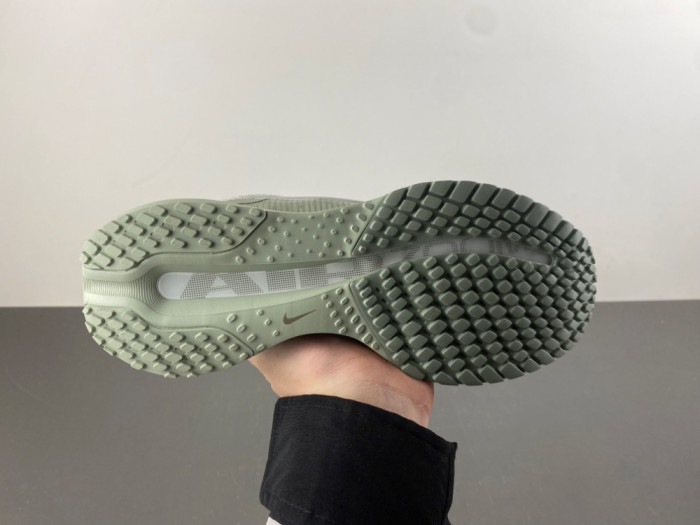 Nike Pegasus Premium 