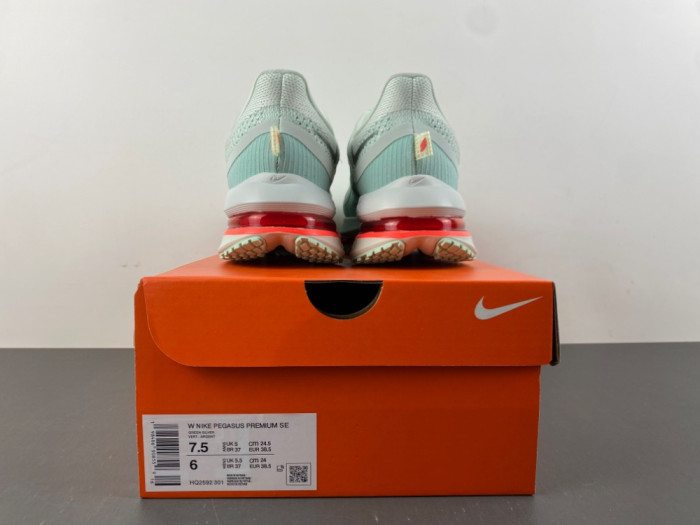 Nike Pegasus Premium 