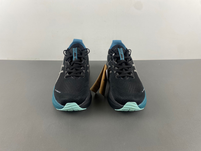 ASICS Gel Kayano 31