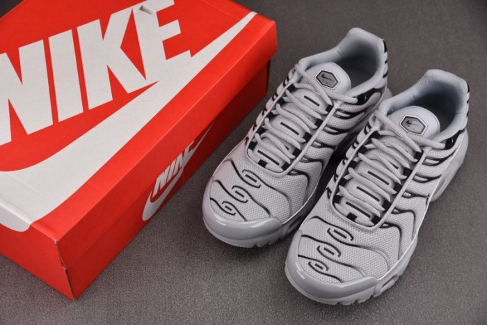Air Max Plus TN 