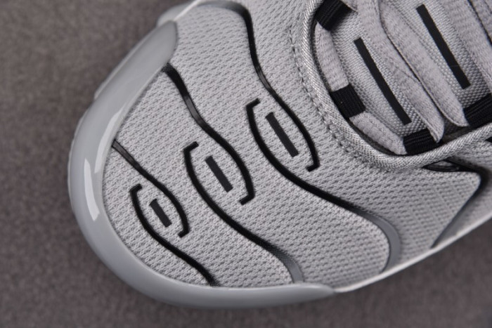 Air Max Plus TN 