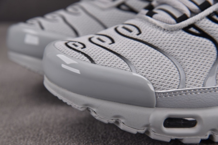 Air Max Plus TN 
