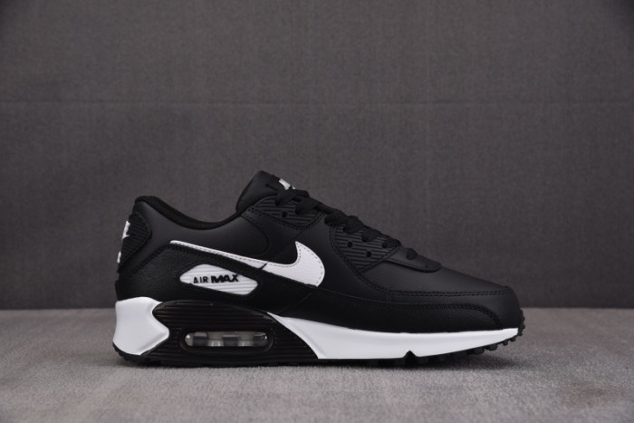 Air Max 90 Leather GS 
