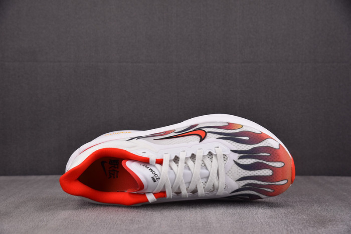 Zoom Fly 6
