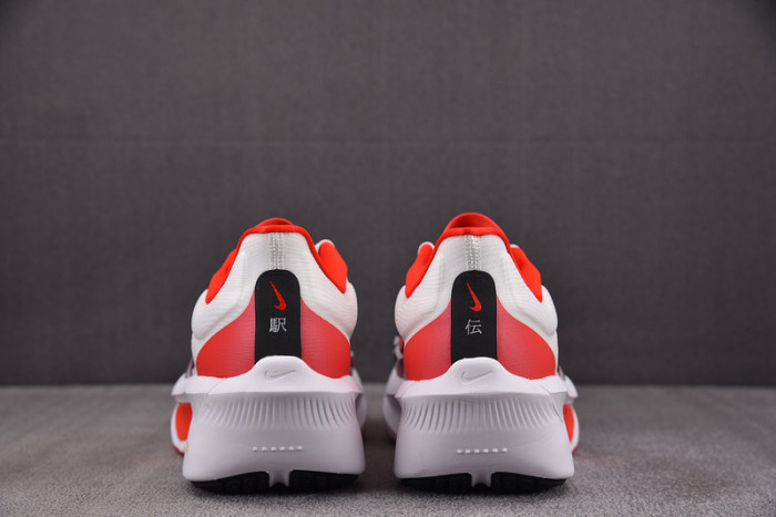 Zoom Fly 6