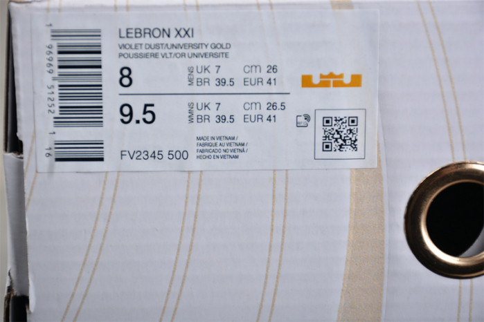 NIKE LeBron 21