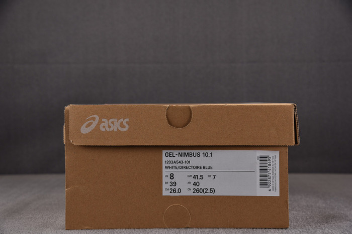 ASICS Gel Nimbus 10.1