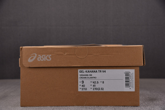ASICS Gel Kahana TR V4