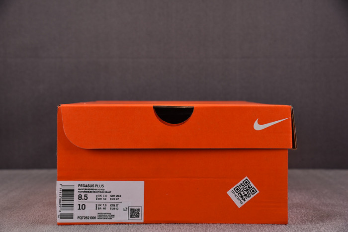 NIKE Pegasus Plus