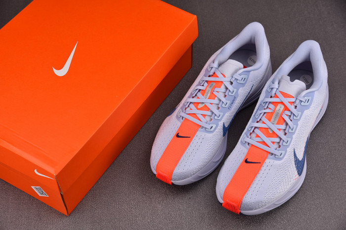 NIKE Pegasus Plus