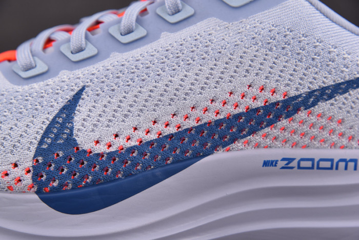 NIKE Pegasus Plus