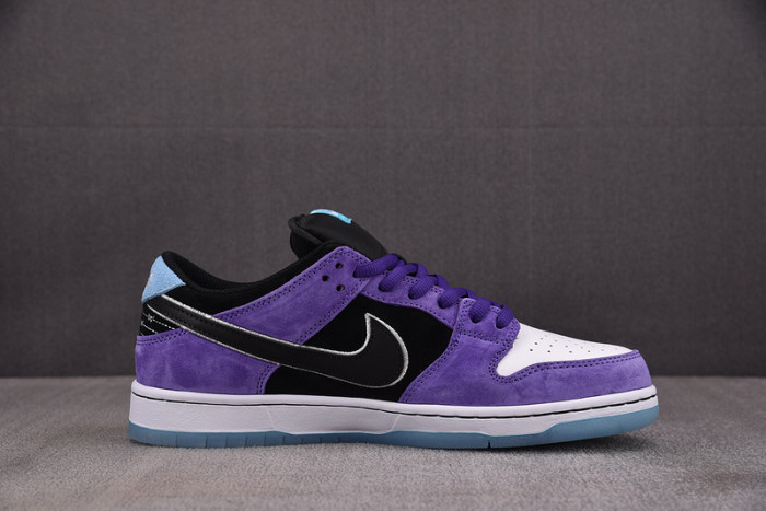 Hayley Wilson x NIKE Dunk Low SB