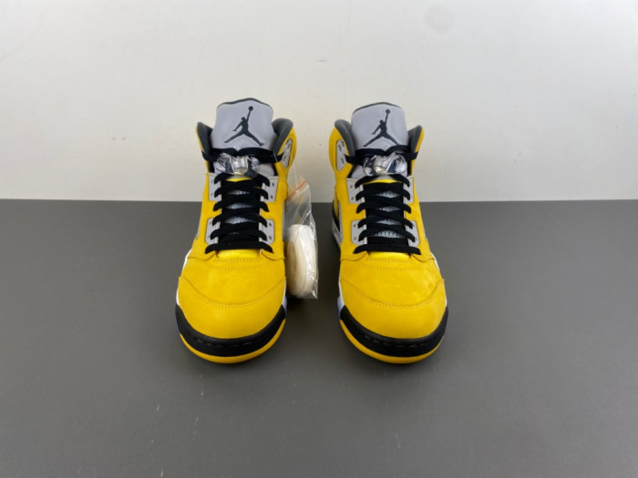 Air Jordan 5 Retro T23